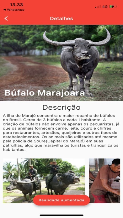 Screenshot #3 pour Marajó AR