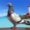 Enjoy the adventure of flying birds in Pigeon Flight Simulator