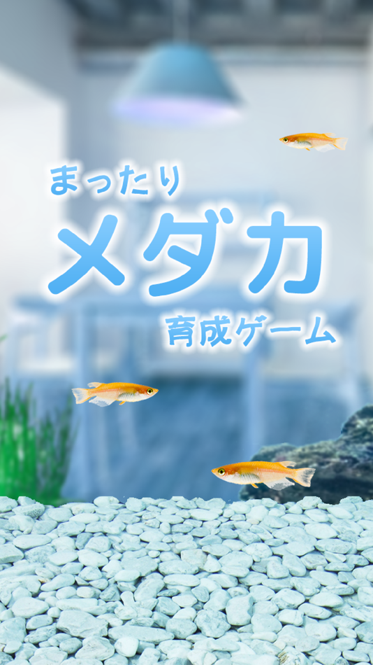 #1. メダカ育成げーむ (iOS) 由: Canvas soft