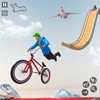 Bicycle BMX Stunt Riding