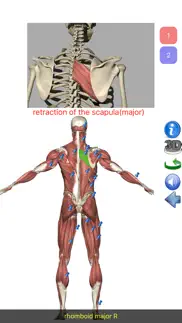 visual anatomy lite iphone screenshot 4