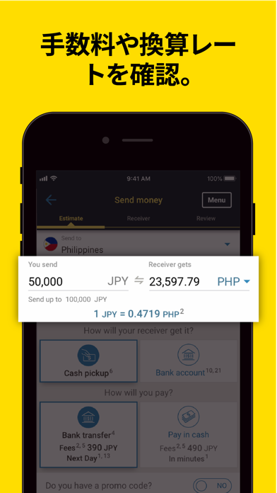 Western Union の送金 日本のスクリーンショット - 1