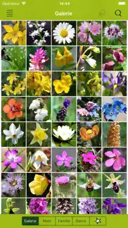 fleurs sauvages suisse finder iPhone Captures Décran 2
