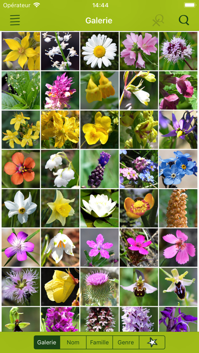 Screenshot #2 pour Fleurs Sauvages Suisse Finder