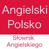 Polish English Dictionary! icon