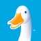 MyAflac