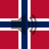 Norwegian Phrasebook - FB PUBLISHING LLC