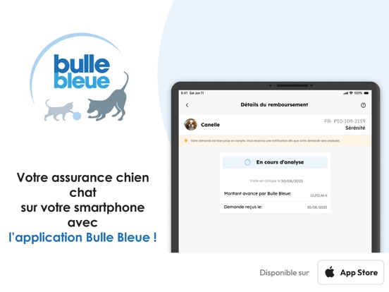 Screenshot #4 pour Bulle Bleue