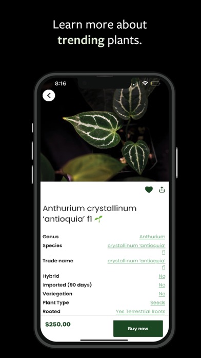 MonsteraX - World Plant Market Screenshot