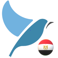 Bluebird Egyptian Arabic