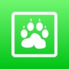 Animals Learning Cards icon