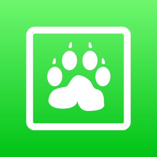 Animals Learning Cards icon