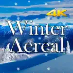 Winter Aereal App Contact