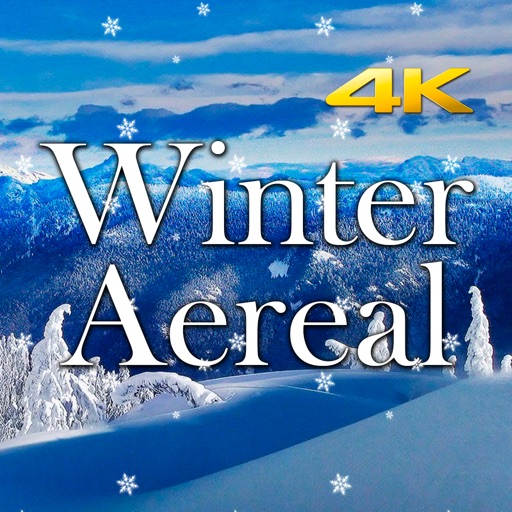 Winter Aereal icon