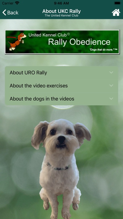 UKC Rally Dog Obedience screenshot-7