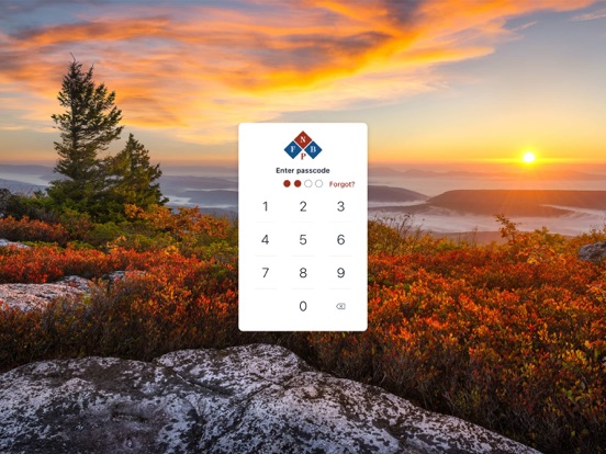 FNBP Connect iPad screenshot 2 - Finance app