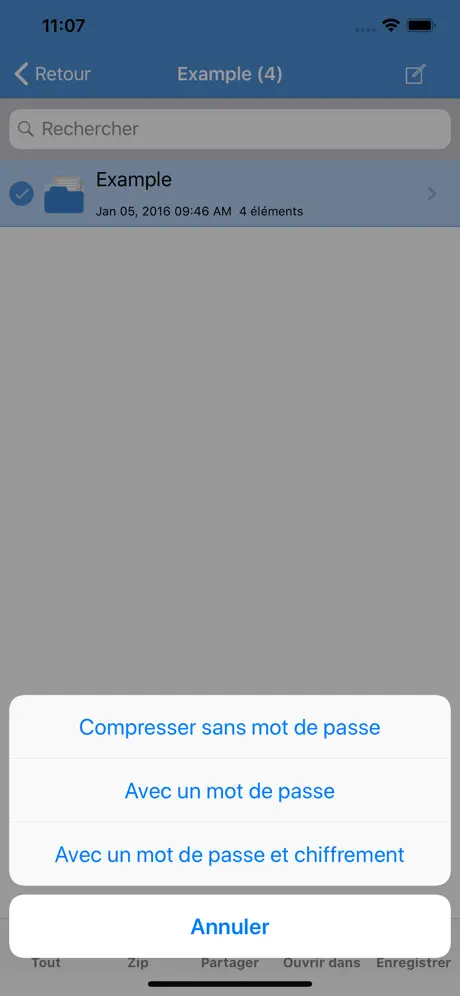 iZip Pro - Zip, Unzip, Unrar