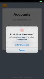 passmaster iphone screenshot 4