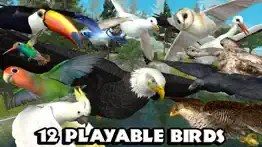 ultimate bird simulator problems & solutions and troubleshooting guide - 4