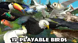 ultimate bird simulator iphone capturas de pantalla 3