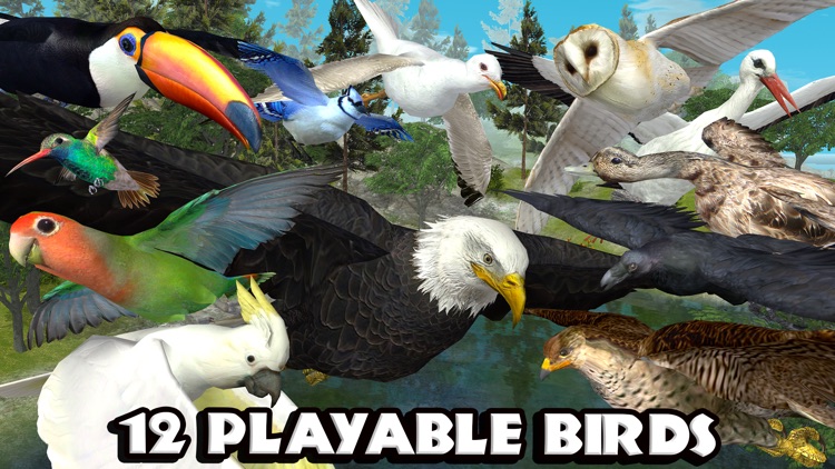 Ultimate Bird Simulator