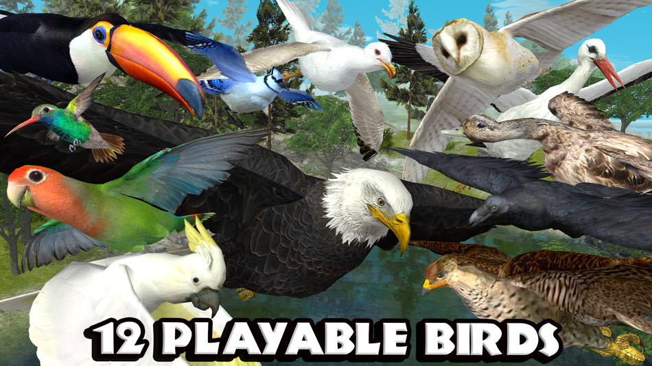 #3. Ultimate Bird Simulator (iOS) Bởi: Gluten Free Games