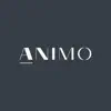 Animo Studios Positive Reviews, comments