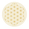 iGong - Yoga & Meditation icon