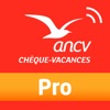 Chèque-Vacances Pro icon