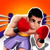 Boxer Run 3D