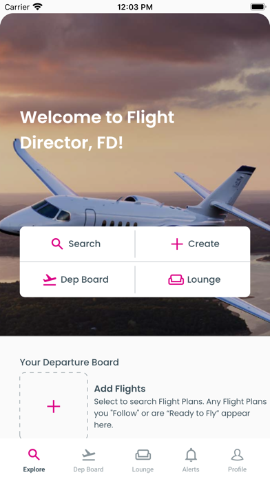 Flight Director Screenshot