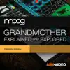 Moog Grandmother Course By AV App Positive Reviews