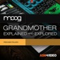 Moog Grandmother Course By AV app download
