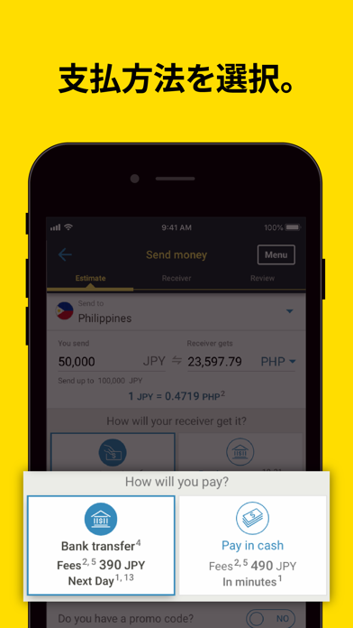 Western Union の送金 日本のスクリーンショット - 2