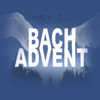 Bach-Advent 2023