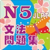JLPT Ｎ５文法問題集 icon