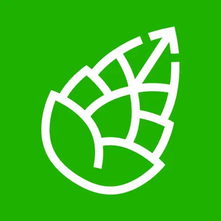 Go Pinecone Читы