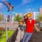 Spread your wings to fly into the sky to find some food for your virtual family in the pigeon games