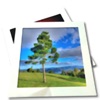 DualView - See Photos Together - iPadアプリ