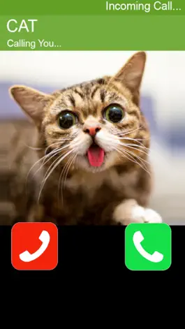 Game screenshot Call Cat 2 hack