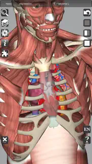 How to cancel & delete 3d bones and muscles (anatomy) 4