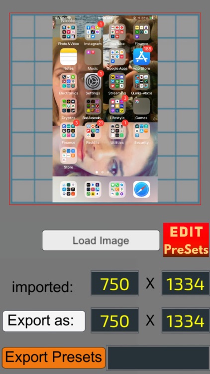 Pixel Resizer: Custom Metadata screenshot-0