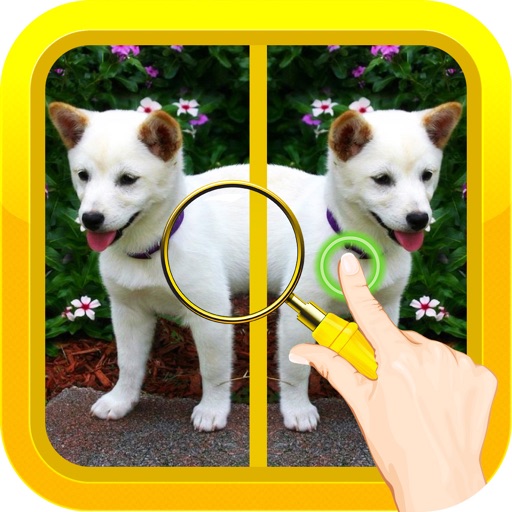 Find Spot The Differences iOS App