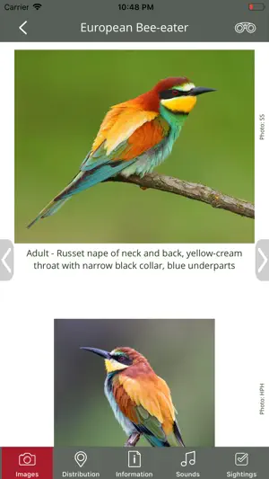 BirdPro screenshot 3