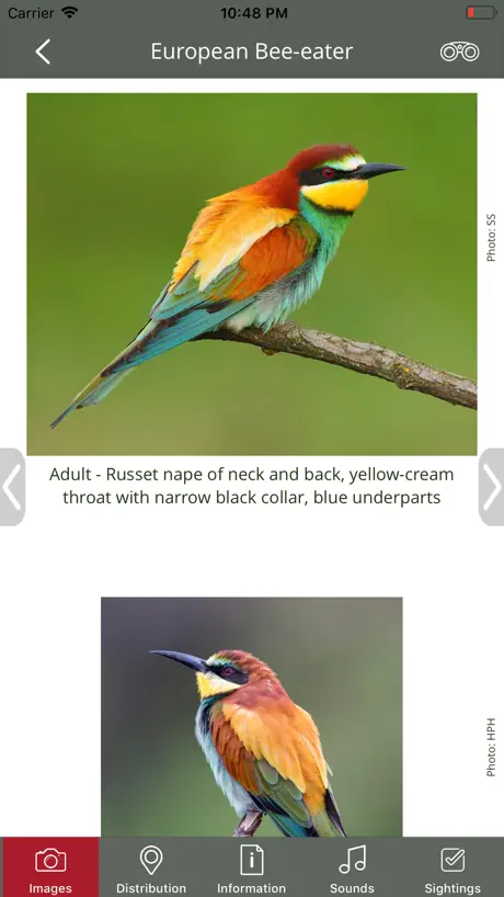 BirdPro