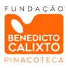 Calixto Virtual icon