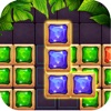 Block Puzzle - Gem Elimination icon