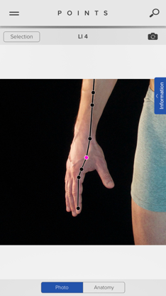 Acupuncture Points screenshot 2