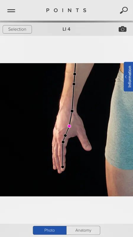 Acupuncture Points screenshot 2 of 5