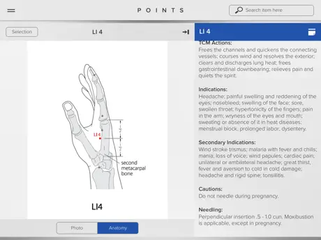 Acupuncture Points